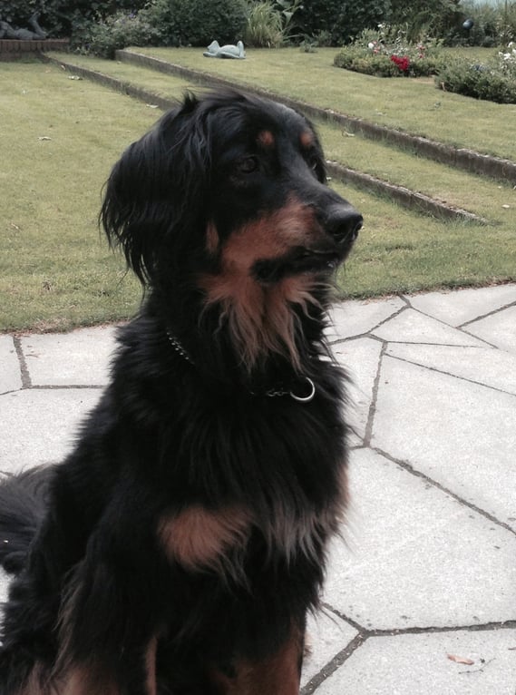  Nachricht von Bera: sie hat alle(s) im Blick!