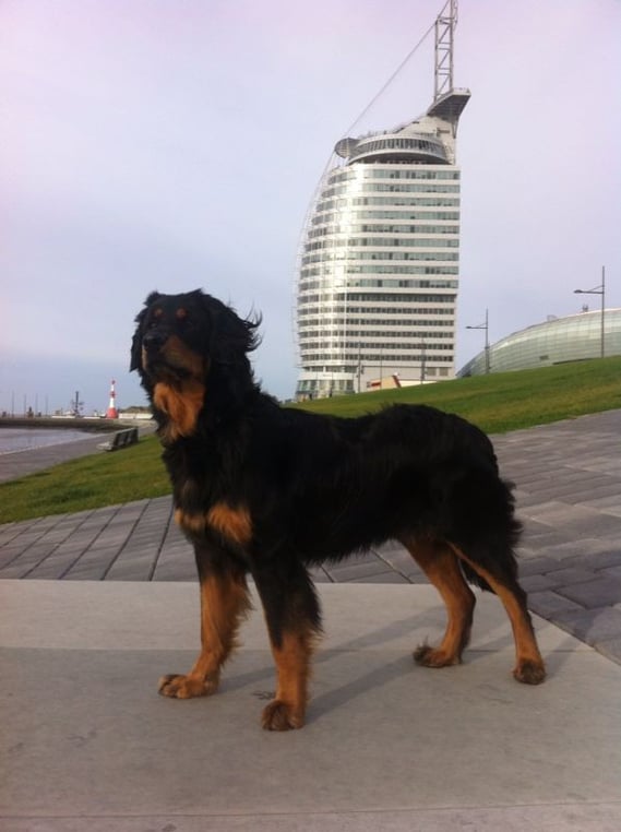 Bakis Kurztripp nach Dubai (Hotelnachbau in Bremerhaven), 11.11.2013