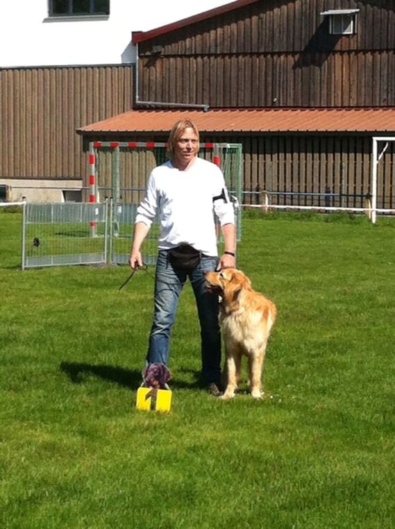 HC Clubsiegerschau in Kehl 2014; Jugendklasse Rüden: sehr gut 1