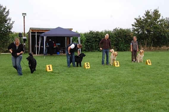 Zwischenklasse CAC Niederelvenich 2014: Herzlichen Glückwunsch zu einem vorzüglichen Platz 3!