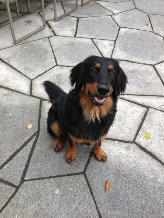 Das kesse Früchtchen weiß immer noch, wie man die Herzen der Menschen erwärmt...