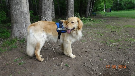 Und nach der Arbeit die blonde Schmusebacke! after work Benjamin wants to smooch!
