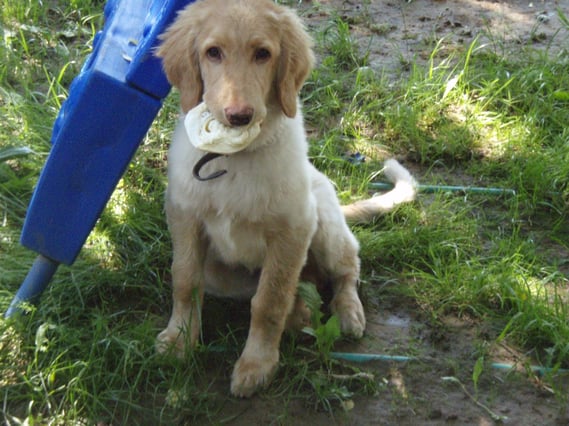 Benjamin, mit 4 1/2 Monaten