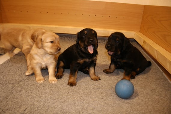 Tag 23: "Wir werden immer größer....