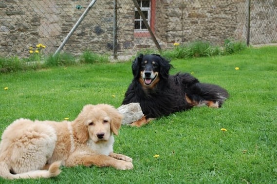 Feah scheint glücklich, dass Booker endlich wieder action in ihr Leben gebracht hat! 