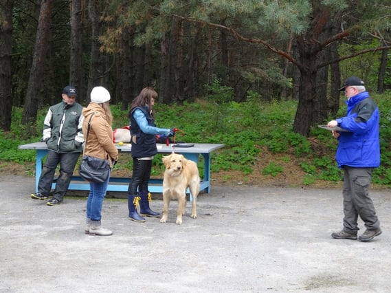 Exterieurbegutachtung bei der Nachzuchtbeurteilung