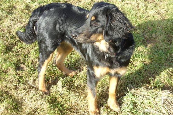 entwickelt sich hier eine Schönheit?