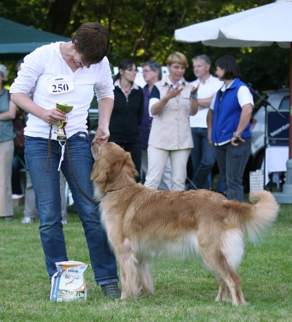 Meisdorf Clubsiegerschau HZD/RZV. Thaler Offene Klasse Hündinnen V4
