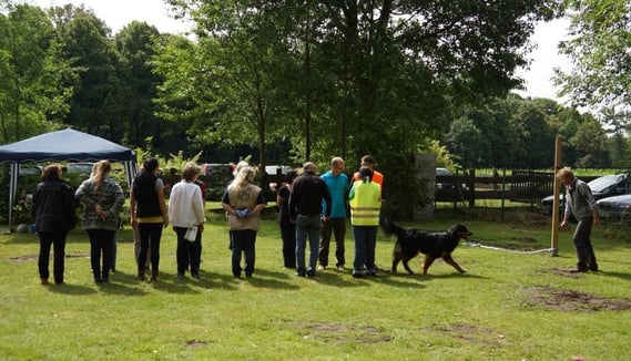 Bjarny folgt seiner Edith durch die enge Gasse
