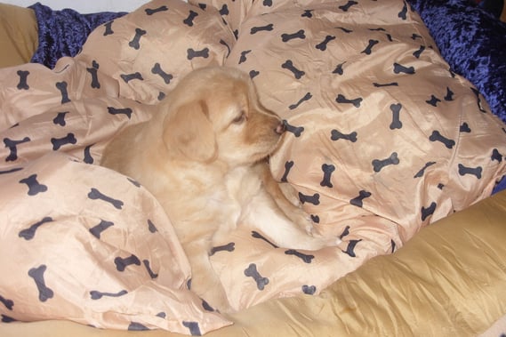 Lieblingsplatz, Amie 4 Wochen 3 Tage