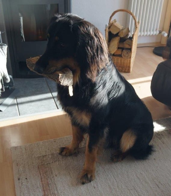 " Können wir mal den Ofen anmachen?"