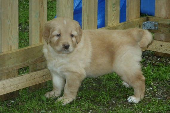 (Fast) perfekte Pose; 5 Wochen 1 Tag