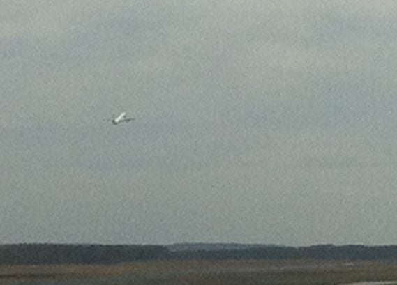 Birdy in der Luft, auf dem Weg nach Moskau, seiner neuen Heimat; Mach´s gut liebes Vögelchen!