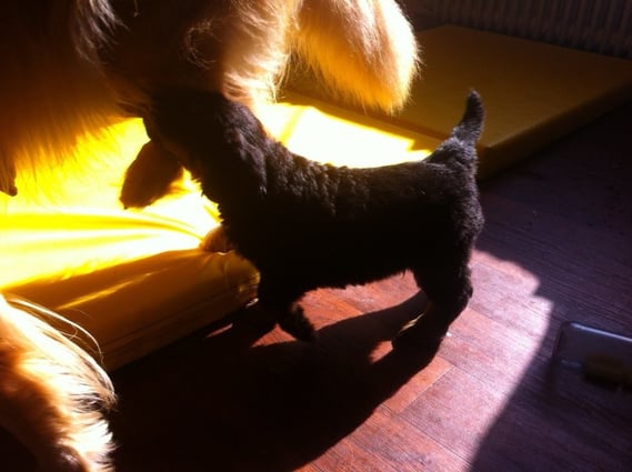 der dicke Bastian hat eigentlich nur ein großes Ziel: wie komme ich schnell an was zu essen?