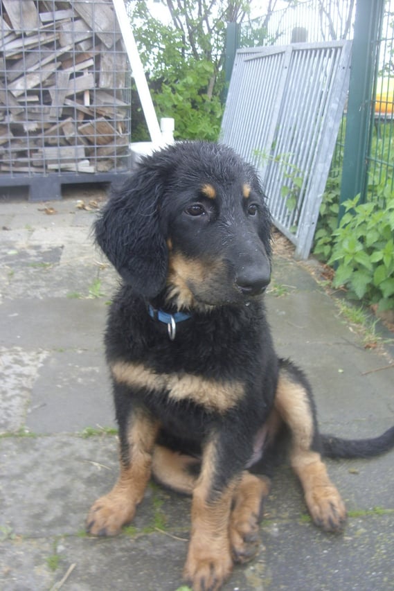 nach dem Unterricht...