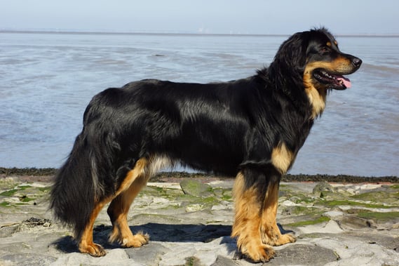 mit 15 Monaten ( keine Fotomontage!)