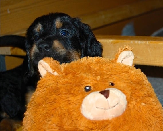 Bastian hat sich von den Begrüßungsgeschenken von Papa Booker gleich das Größte ausgesucht!