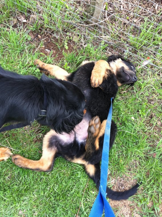 Halbschwester Annabelle checkt ab, ob es wirklich der kleine Bruder ist, der so stürmisch kam...