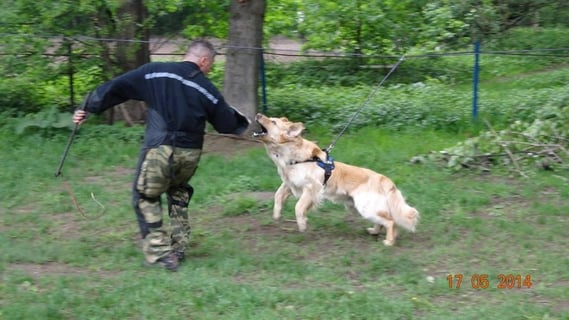 Beim VPG Training ist Benjamin weiter mit Leidenschaft dabei.