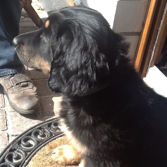 Bastian schaut sich an, was jetzt alles ihm gehört