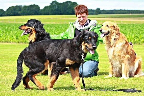  genug still gehalten...