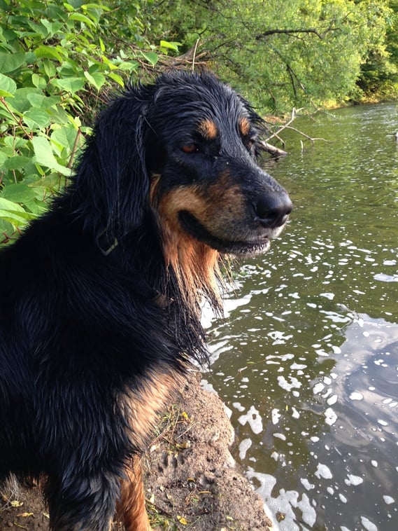 endlich Sommer! 06.06.2013