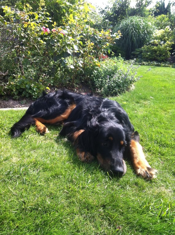 7 Monate, 31 kg und man wird nicht mehr in den Wagen getragen, sondern schreitet nunmehr über ein Rampe ins Auto