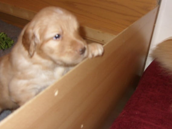 Die andere Seite lohnt sich... (siehe Amie)