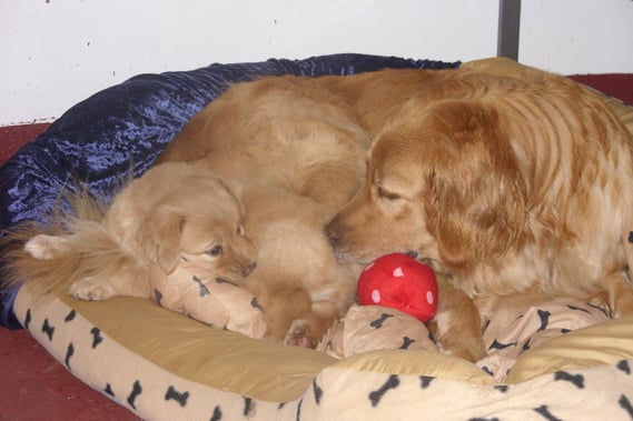 Schmusestunde mit Mama