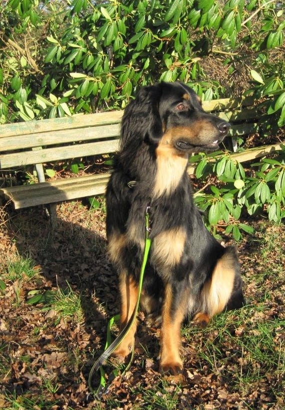 Ein sonniger Start in 2014