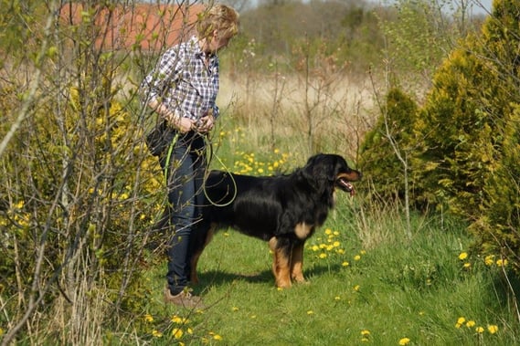 Wo sind denn jetzt die Ostereier?