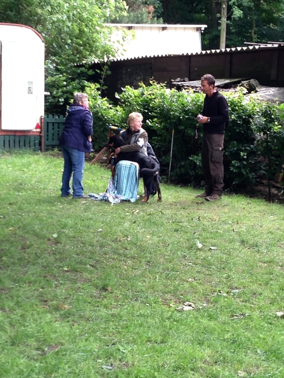 Zwei, die sich wieder haben! (Verhalten II, 29.07.2013 in Haltern am See)