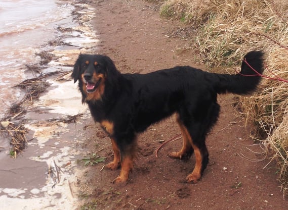 Ostern 2015 am Stausee Kelbra, bei Sangerhausen