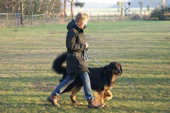 Beim Training in Sannum: "Kameramann, bin ich gut im Bild?"