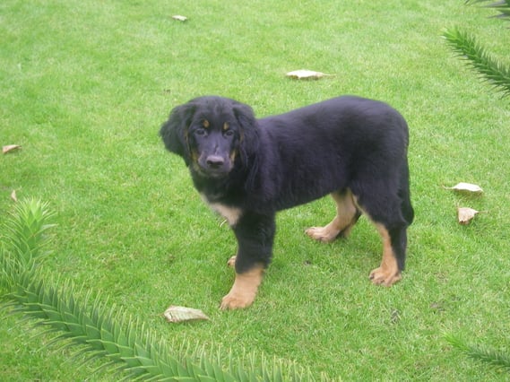 Amigo schickt Grüße von zu Hause. Danke! Wir freuen uns.