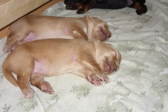 Wer ist wer? (vorne Amie, dahinter Antek) Tag 9