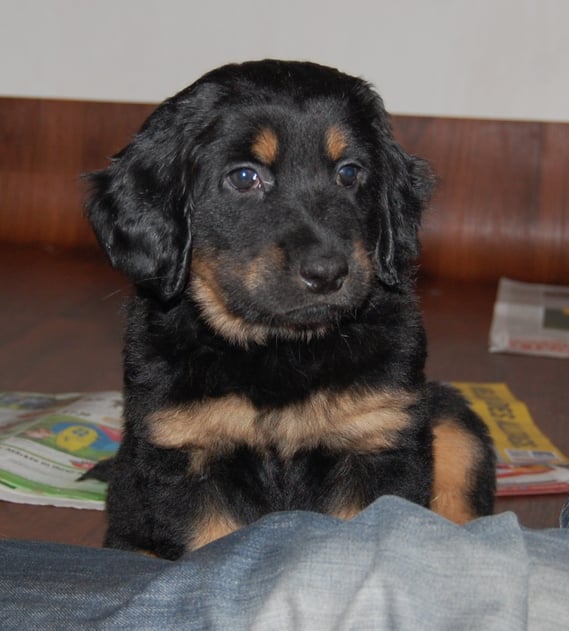 Ob Bastian schon seinen Lothar vermisst ? Gestern war er noch da...