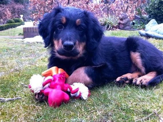 Die aktuellen Bilder sprechen für sich: Bera ist wirklich zu Hause angekommen!