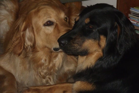 Zwei, die sich gut verstehen ! (Mutter und Tochter, Januar 2013)