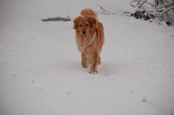 Zwischen den Jahren 2014/2015