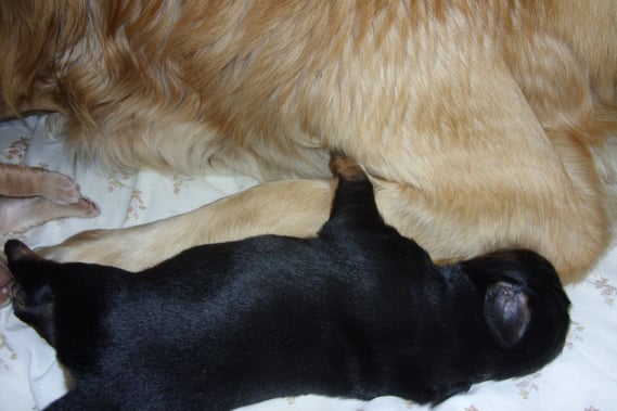 Auch ein guter Platz; Abraxas Tag 9