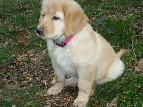 "Happy End" für Amie, in drei Tagen geht`s in neue zu Hause