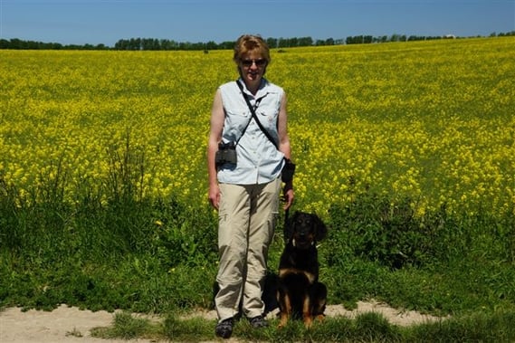 Bjarny vor Raps auf Rügen