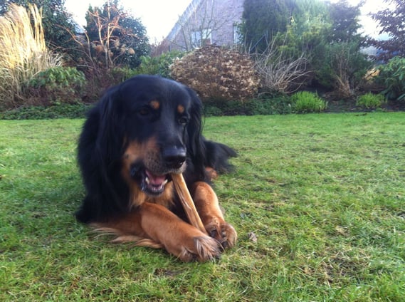 Geburtstagsgrüsse vom 3-jährigen Bjarny