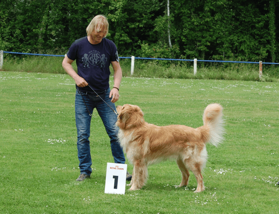 Unser Züchterherz lacht mit. Booker Bleik gewinnt die Offene Klasse bei der CAC in Kehl