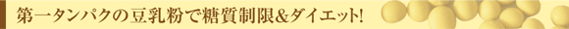 第一タンパクの豆乳粉で糖質制限&ダイエット！