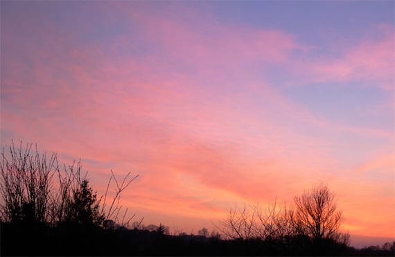 Photo Marie Hélène Cingal