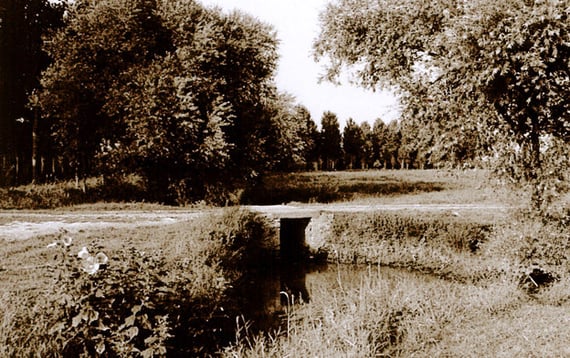 orthe, inondation, peyrehorade, landes, aquitaine, peche, lamproie, pyrenees, gave, arthous, adour, sorde, barthes, radelage, alose, saumon, port de lanne, couralin, hastingues,  tilhole, galupe