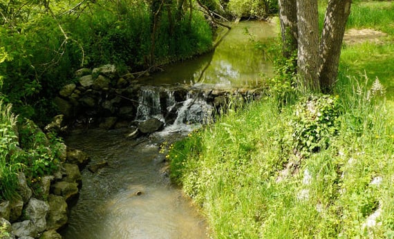 orthe, peyrehorade, landes, aquitaine, peche, lamproie, adour, gave, arthous, cagnotte, sorde, barthes, radelage, alose, saumon, port de lanne, lavoir, couralin, hastingues,  tilhole, galupe