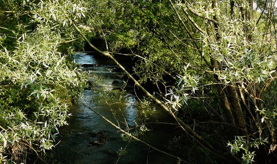orthe, peyrehorade, landes, aquitaine, peche, lamproie, adour, gave, arthous, cagnotte, sorde, barthes, radelage, alose, saumon, port de lanne, lavoir, couralin, hastingues,  tilhole, galupe